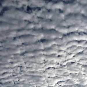 Meet your Posher, Leina sabrina